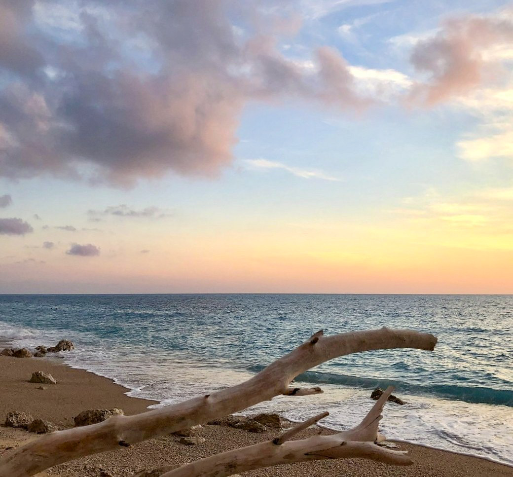 Driftwood beach at sunset